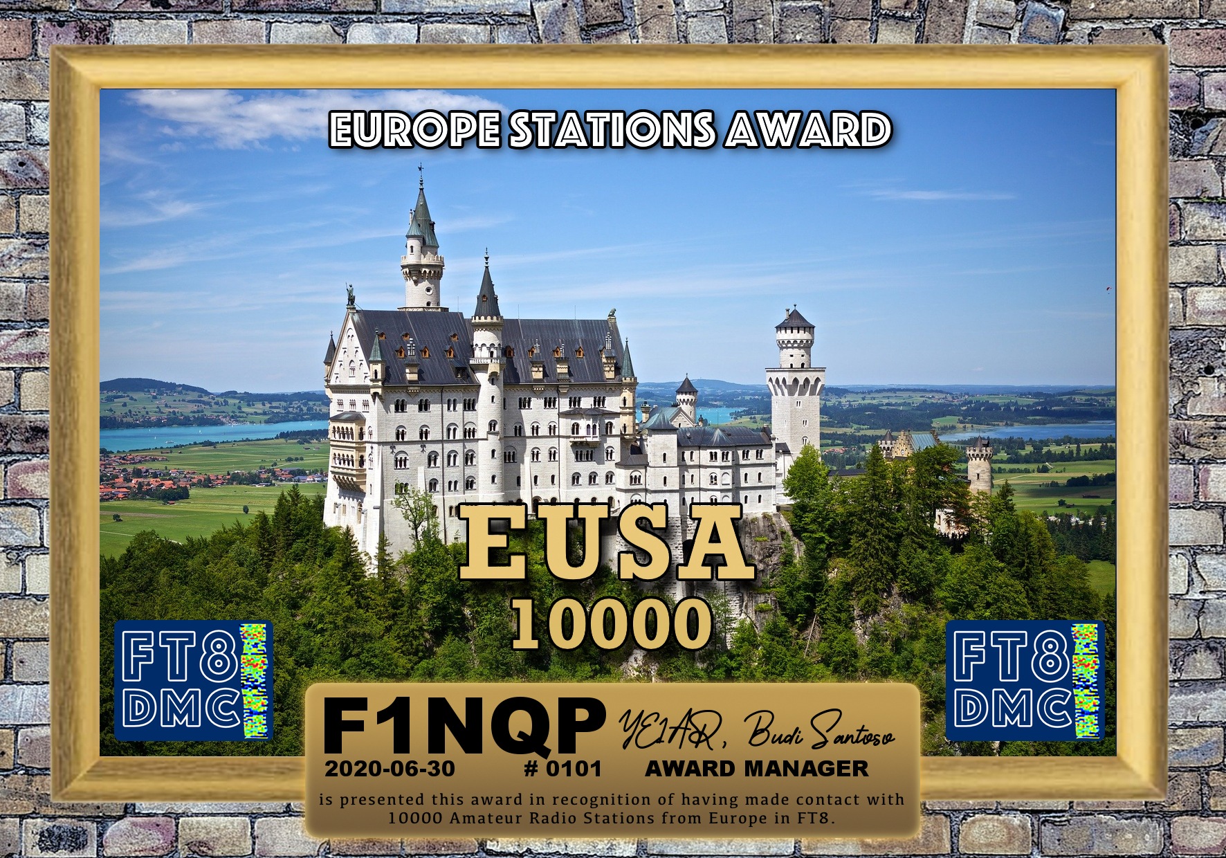 F1NQP-EUSA-10000_FT8DMC.jpg